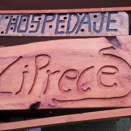 Hospedaje Los Cipreses Coyhaique Buitenkant foto