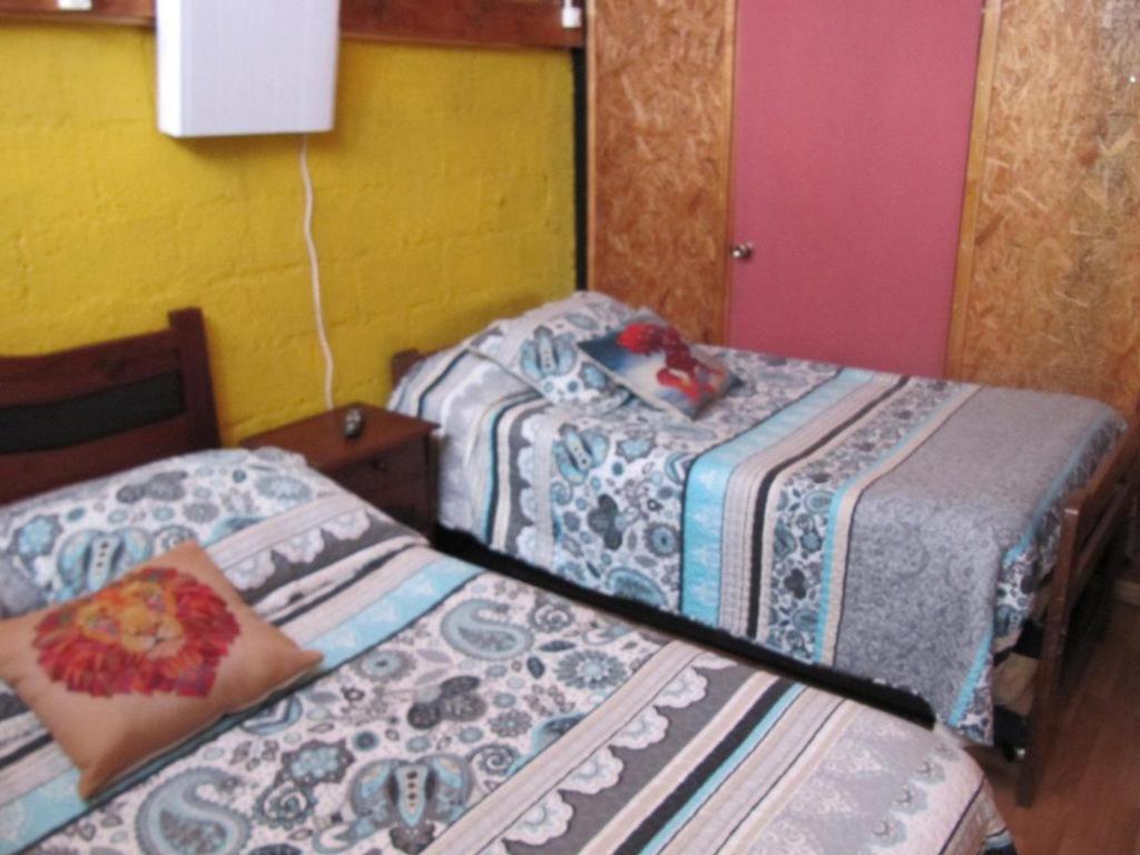 Hospedaje Los Cipreses Coyhaique Buitenkant foto